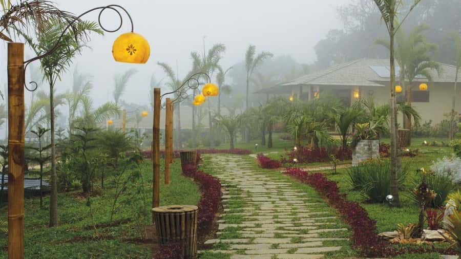 Fortaleza: Mountain Tour and Coffee Route - From Fortaleza to the mountain air of Guaramiranga