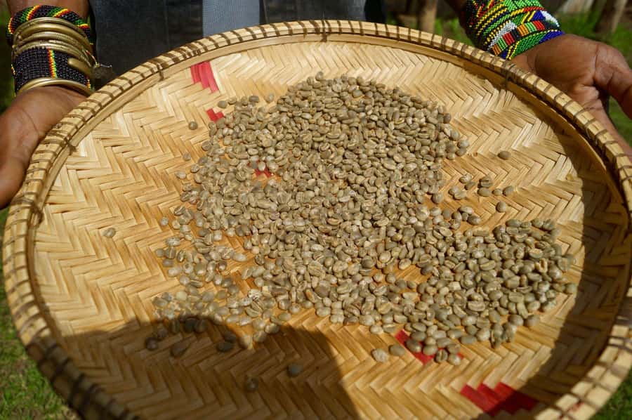 From Arusha: Coffee Farm and Mangalia Waterfalls Tour - Why the small group matters