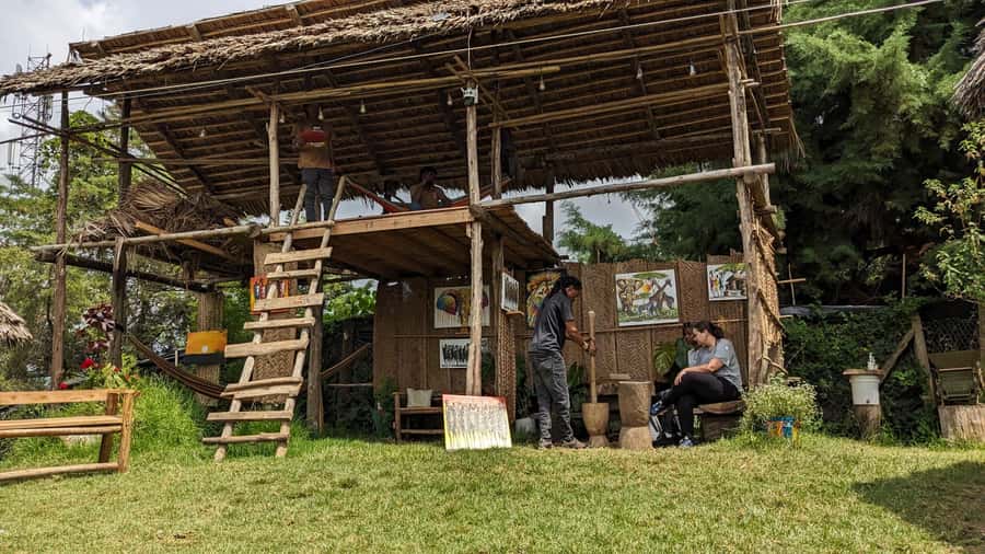 From Arusha: Coffee Farm and Mangalia Waterfalls Tour - Should you book the coffee farm and waterfall tour?