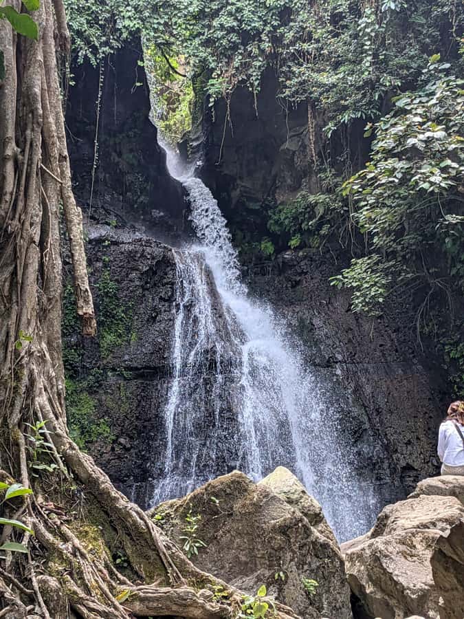 From Arusha: Coffee Farm and Mangalia Waterfalls Tour - Inside the coffee farm: from plant to fresh drink