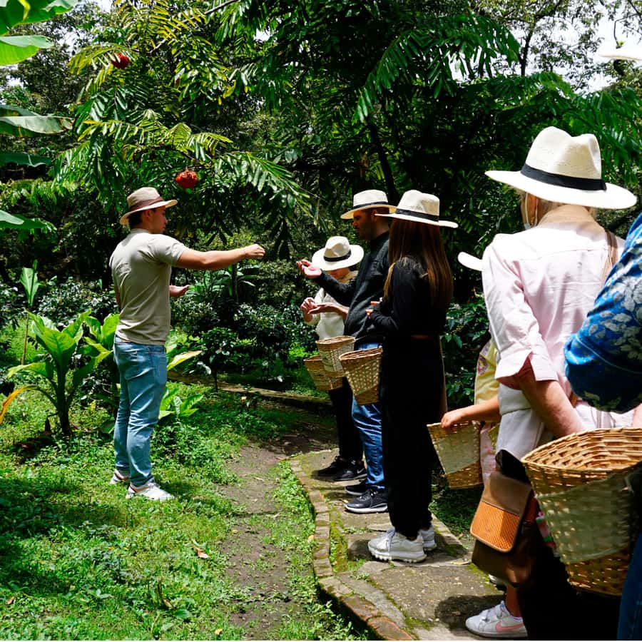 From Bogotá: Coffee Farm and Tequendama Falls Tour - Key points to know before booking