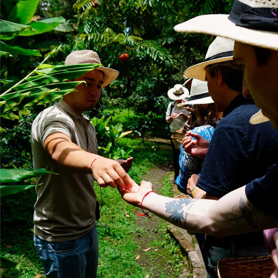 From Bogotá: Coffee Farm and Tequendama Falls Tour - Leaving Bogotá for Colombia’s coffee country