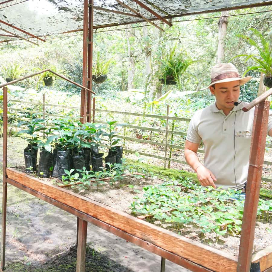 From Bogotá: Coffee Farm and Tequendama Falls Tour - Inside the coffee farm near Fusagasugá