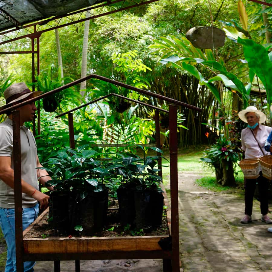 From Bogotá: Coffee Farm and Tequendama Falls Tour - Which guides can shape the experience?