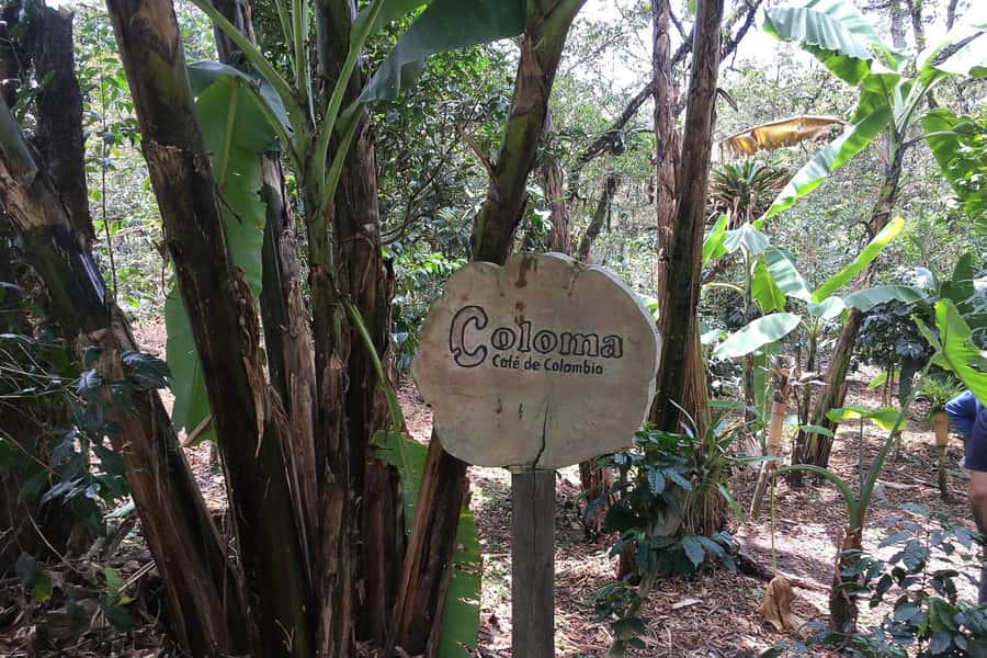 From Bogotá: Coffee Farm Experience Private Day Tour - Birds, orchids, and the estate beyond coffee