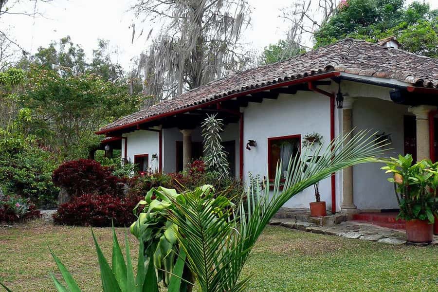 From Bogotá: Coffee Farm Experience Private Day Tour - Walking through coffee from cherry to bean