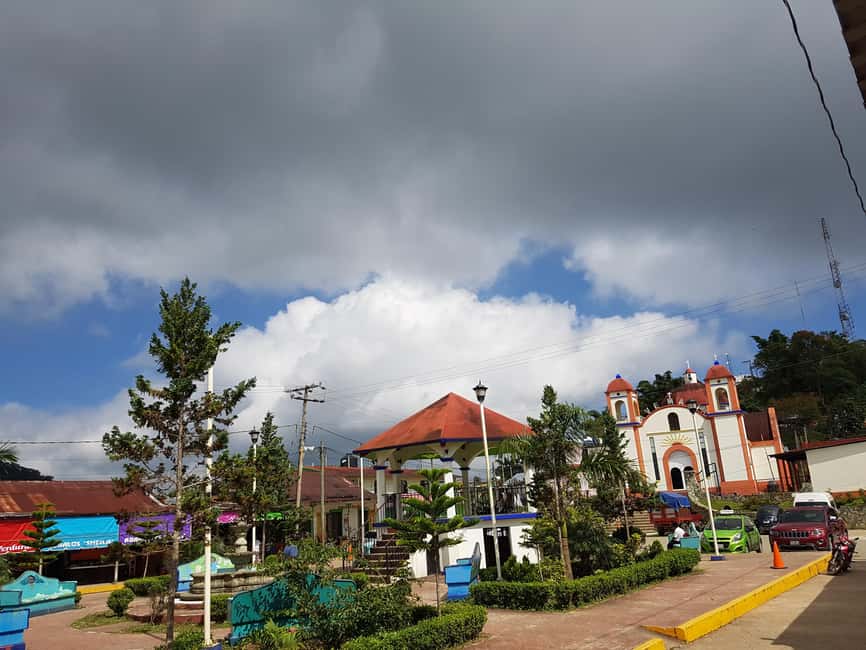 From Huatulco: 3 Levels, Coffee, Culture, and Nature Tour - Pluma Hidalgo and the Coffee Story