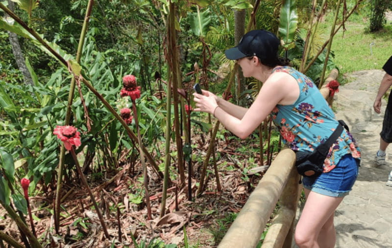 From Huatulco: Coffee and Mezcal Tour - Inside a family coffee farm