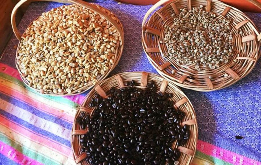 From Huatulco: Coffee and Mezcal Tour - Mezcal at an artisan factory