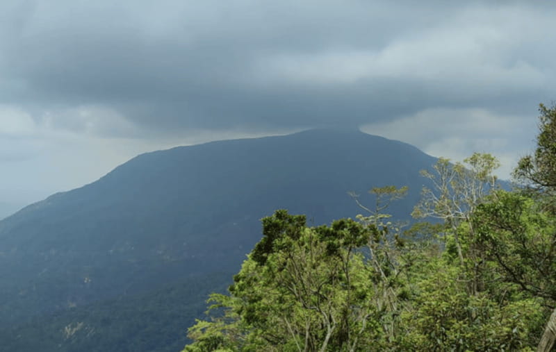 From Huatulco: Coffee and Mezcal Tour - A short walk through Pluma Hidalgo