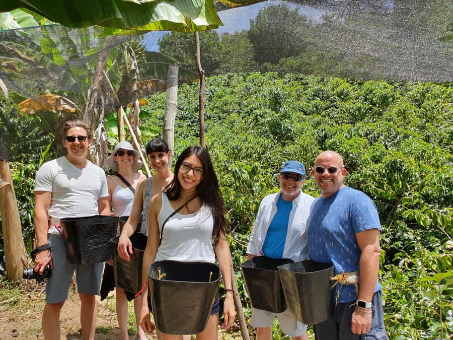 From Medellin: Private Envigado Coffee Tour with Tastings - Leaving Medellin for Envigado’s coffee hills