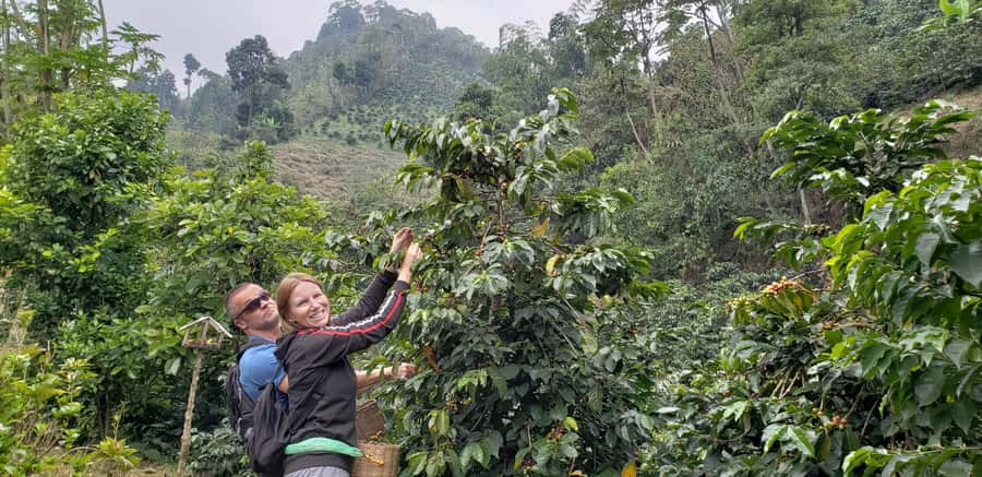 From Medellin: Private Envigado Coffee Tour with Tastings - At the coffee villa, following the bean from seed to cup
