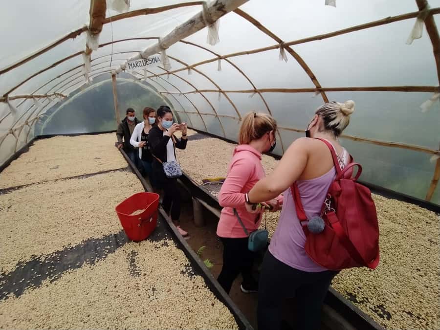 From Medellin: Private Envigado Coffee Tour with Tastings - Why the private format matters