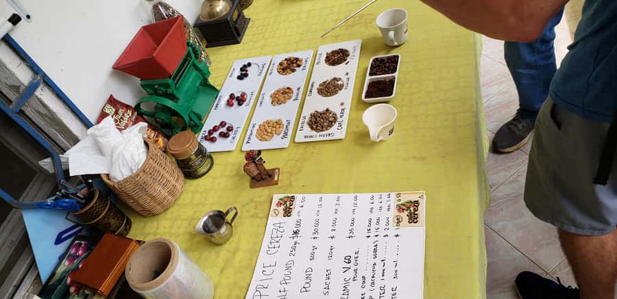 From Medellin: Private Envigado Coffee Tour with Tastings - Should you book the Envigado coffee tour?