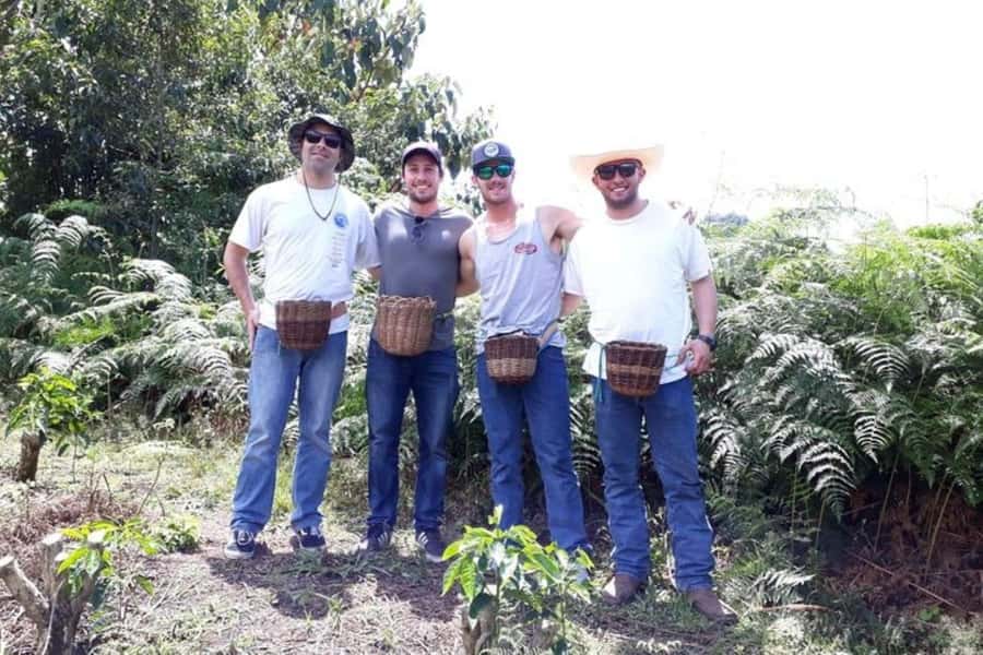 From Medellin: Private Envigado Coffee Tour with Tastings - Picking coffee at a plantation near the city