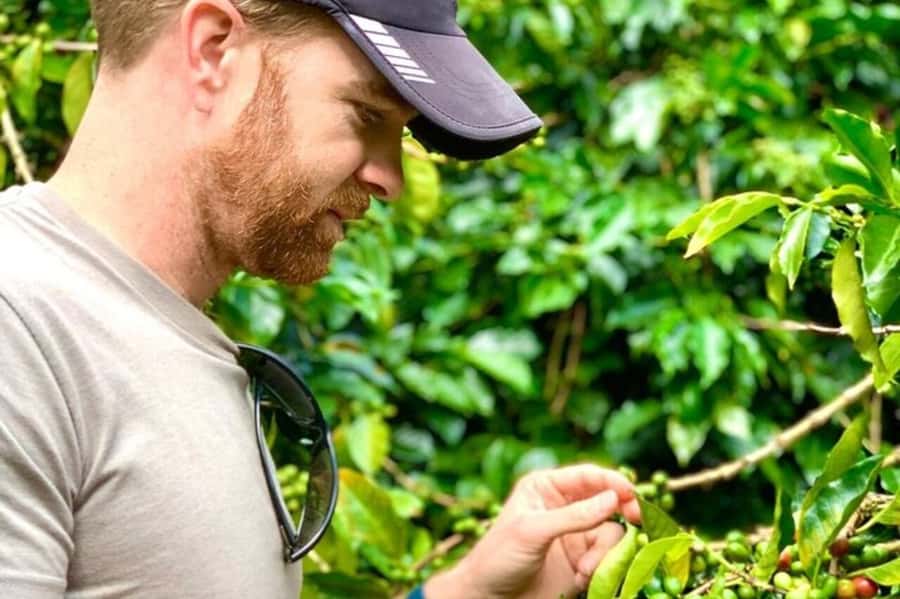 From Medellin: Private Guatape Car Tour with Coffee Tour - Who should choose this tour?