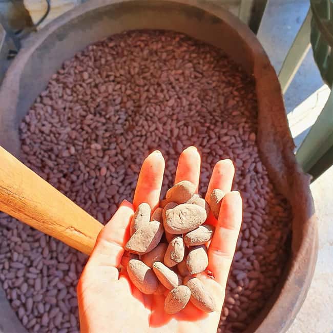 From Puerto Plata Priv: Cocoa, Coffee, Cigars & Local Market - Why this day feels different from a Puerto Plata excursion