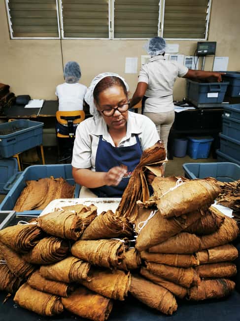 From Puerto Plata Priv: Cocoa, Coffee, Cigars & Local Market - Lunch with Dominican flavors