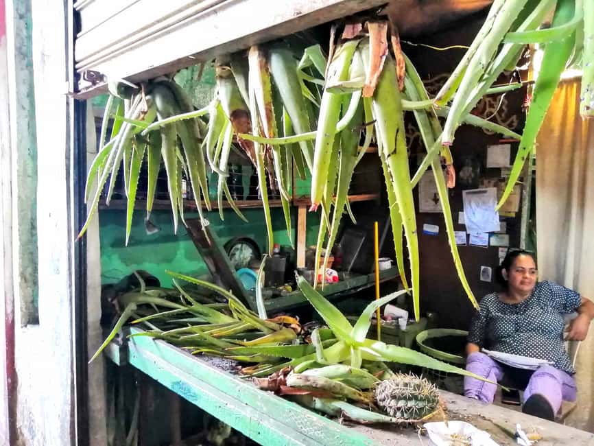 From Puerto Plata Priv: Cocoa, Coffee, Cigars & Local Market - Inside La Aurora’s cigar tradition