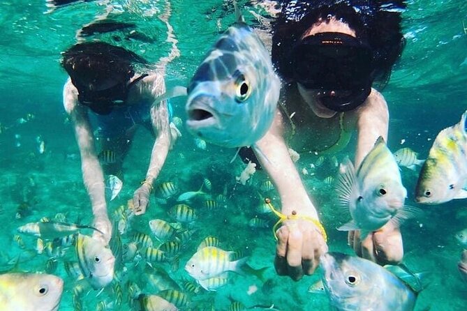 Full Day ATV, Coffee, Chocolate Tasting & Party Boat - Snorkeling in clear water