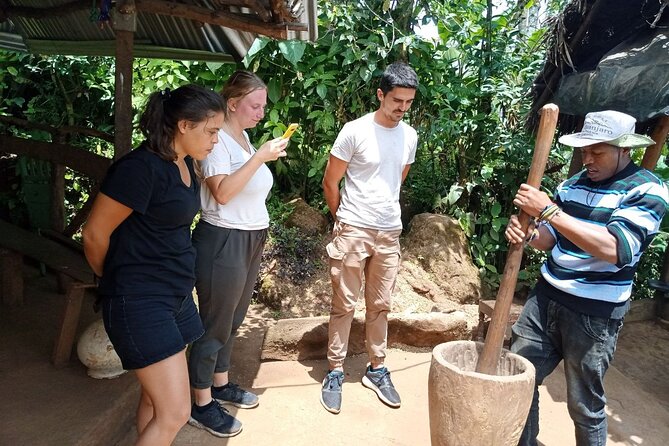 Full Day Materuni Water Falls, Hiking and Coffee Making Tour in Moshi - Key points to know before you book
