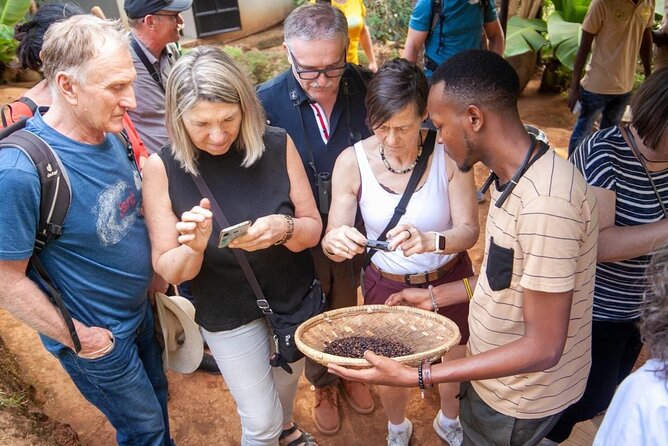 Full-Day Private Materuni Waterfalls and Coffee in Tanzania - Key points before you book