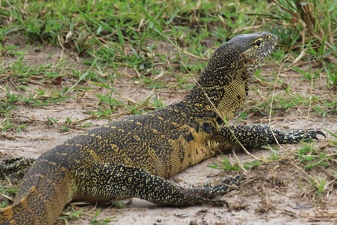 Full Day Shared Akagera Safari Tour with Lunch and Coffee - Registration and the start of the game drive