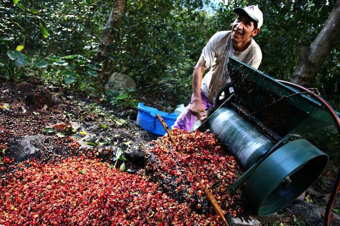 Full-Day Tour Llano Grande Waterfalls and Coffee Plantation in Huatulco! - Should you book the Llano Grande tour?