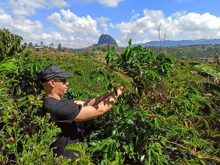Guatapé & Coffee Farm, all in one day - A family coffee farm from seed to cup