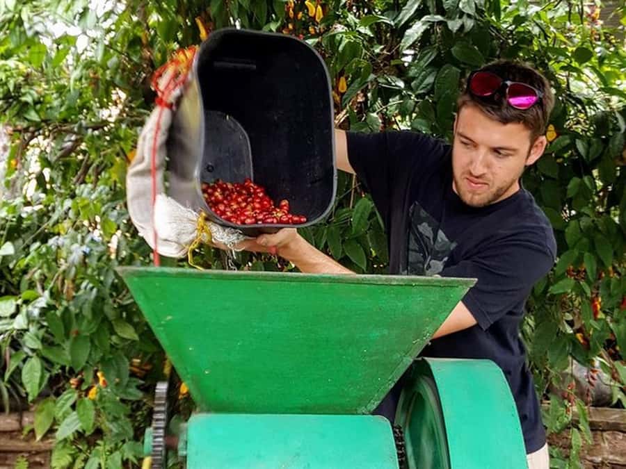 Guatapé & Coffee Farm, all in one day - Transport, group size, and pace