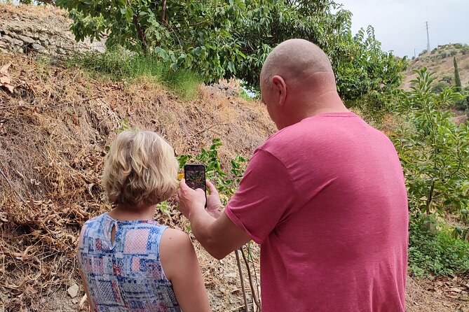 Guided Tour to the only coffee farm in Europe - What the 70 to 90 minutes feels like
