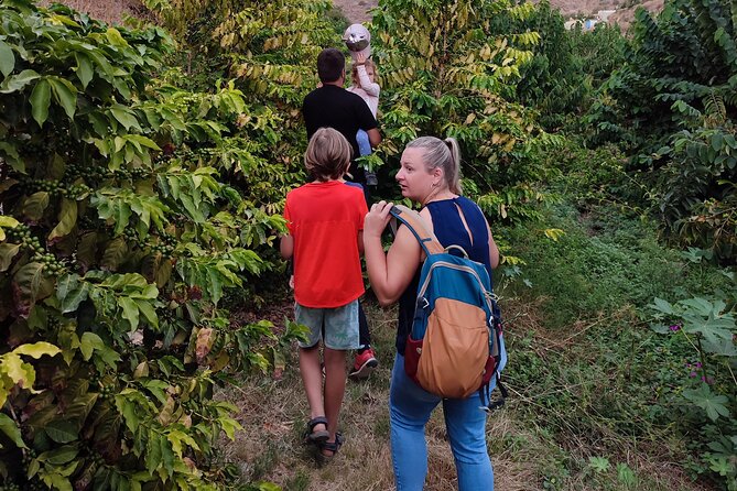 Guided Tour to the only coffee farm in Europe - Family appeal, with a few practical limits
