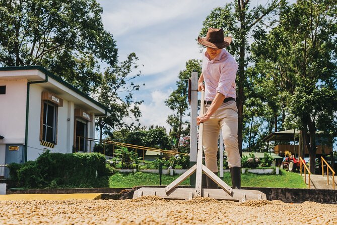 Hacienda Doka Coffee Experience Tour - The estate’s coffee process in chronological order