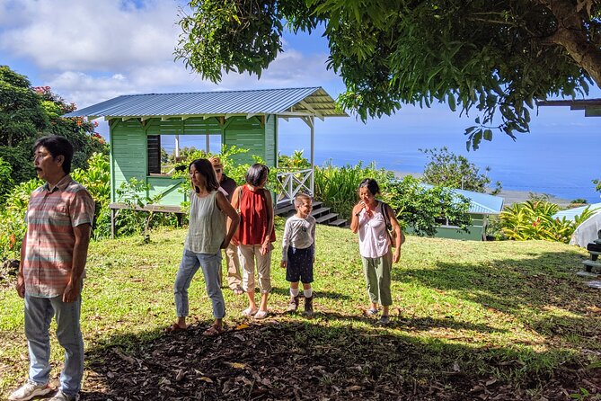 Hala Tree Coffee Farm Tour - Walking among the trees and coffee cherries
