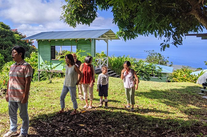 Hala Tree Coffee Farm Tour - The three-cup tasting on the shaded deck