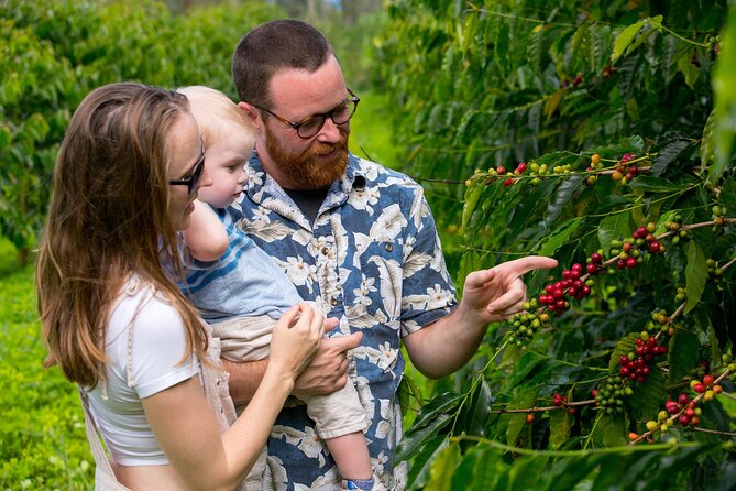 Hala Tree Coffee Farm Tour - Who will enjoy Hala Tree Coffee most