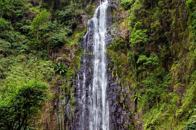Half-Day Private Tour to Materuni Waterfalls and Coffee excursion - Returning to the village for Chagga coffee