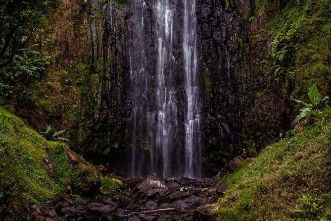 Half-Day Private Tour to Materuni Waterfalls and Coffee excursion - What private touring changes