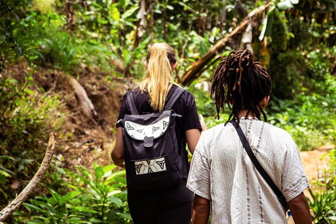 Half-Day Private Tour to Materuni Waterfalls and Coffee excursion - Who should book the Materuni experience