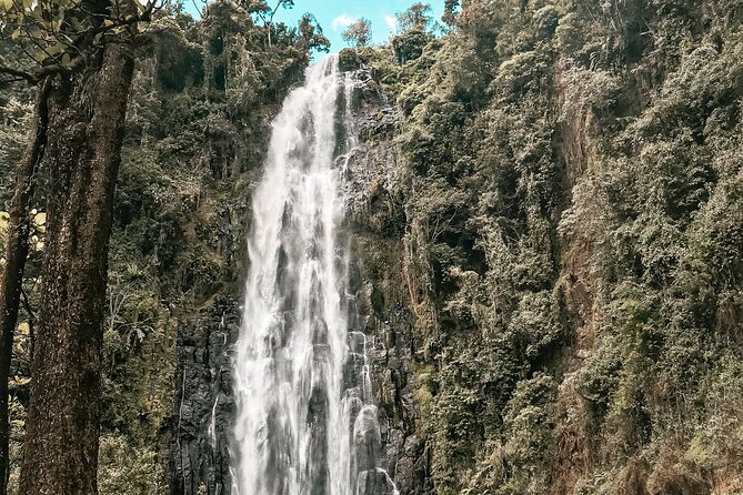 Half-Day Private Tour to Materuni Waterfalls and Coffee excursion - Price, timing, and cancellation terms