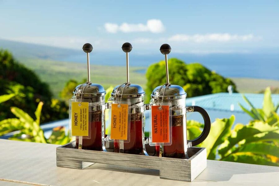 Hawaii: Hala Tree Coffee Farm Tour and Tasting - Walking among Kona coffee trees