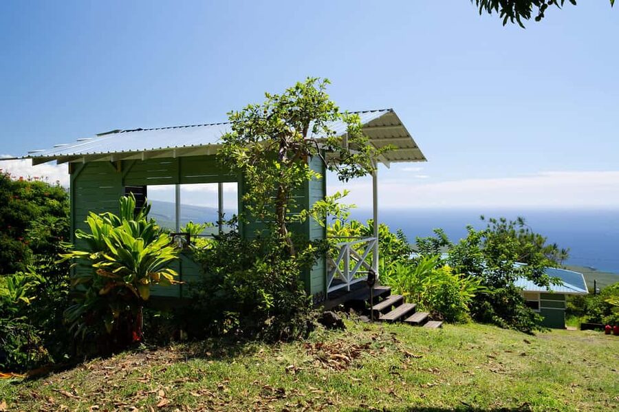 Hawaii: Hala Tree Coffee Farm Tour and Tasting - A tasting with an ocean view