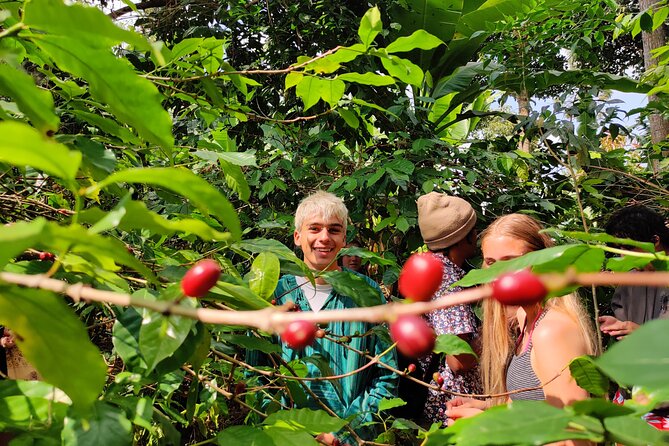 Hidden Arusha Waterfall, Coffee & Village Tour (All-Inclusive) - Key points to know before booking