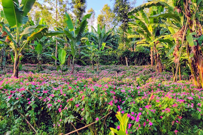 Hidden Arusha Waterfall, Coffee & Village Tour (All-Inclusive) - Honey, spices, banana wine, and a Tanzanian buffet
