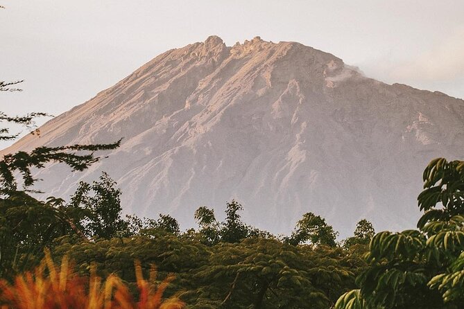 Hidden Arusha Waterfall, Coffee & Village Tour (All-Inclusive) - The wide view from Akheri