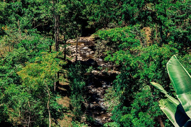 Hidden Arusha Waterfall, Coffee & Village Tour (All-Inclusive) - What the $40 price really includes
