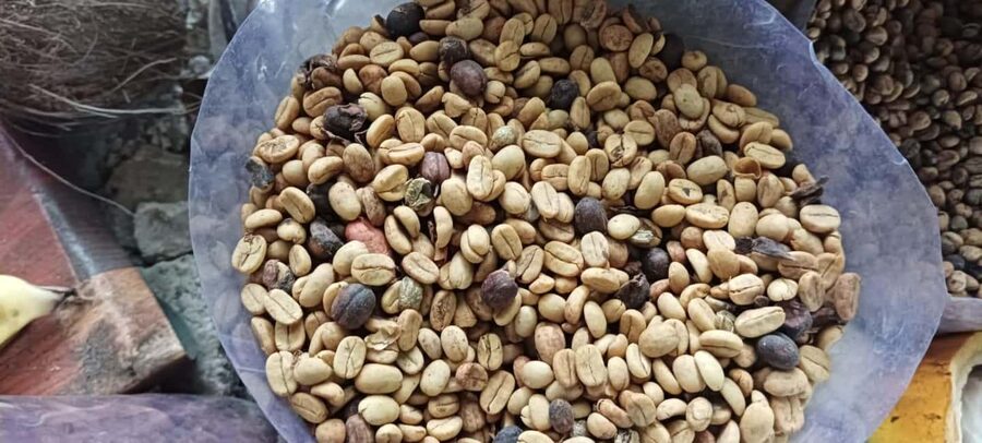Higuey discovery, coffee and cocoa tasting from punta cana - What this Higüey day adds to a Punta Cana stay