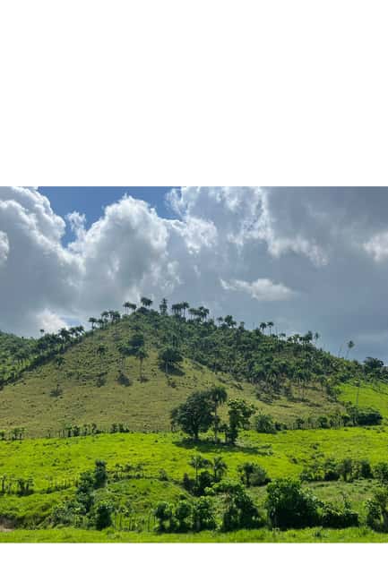 Higuey discovery, coffee and cocoa tasting from punta cana - Markets where daily life comes into view