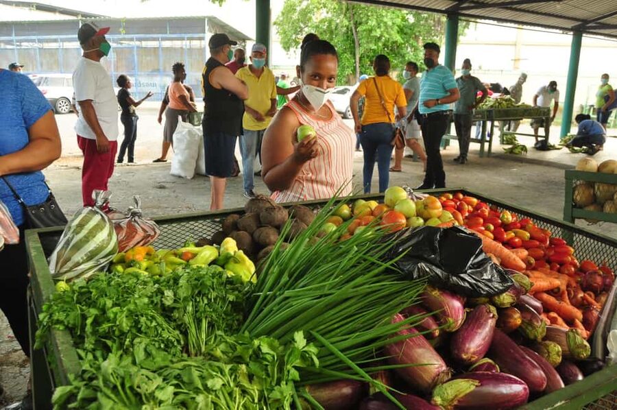 Higuey discovery, coffee and cocoa tasting from punta cana - Macao Beach is the final reset