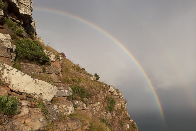 Hiking Lion's Head for sunrise, coffee & hotel Pick-up & Drop off - Sunrise from the 669-meter summit